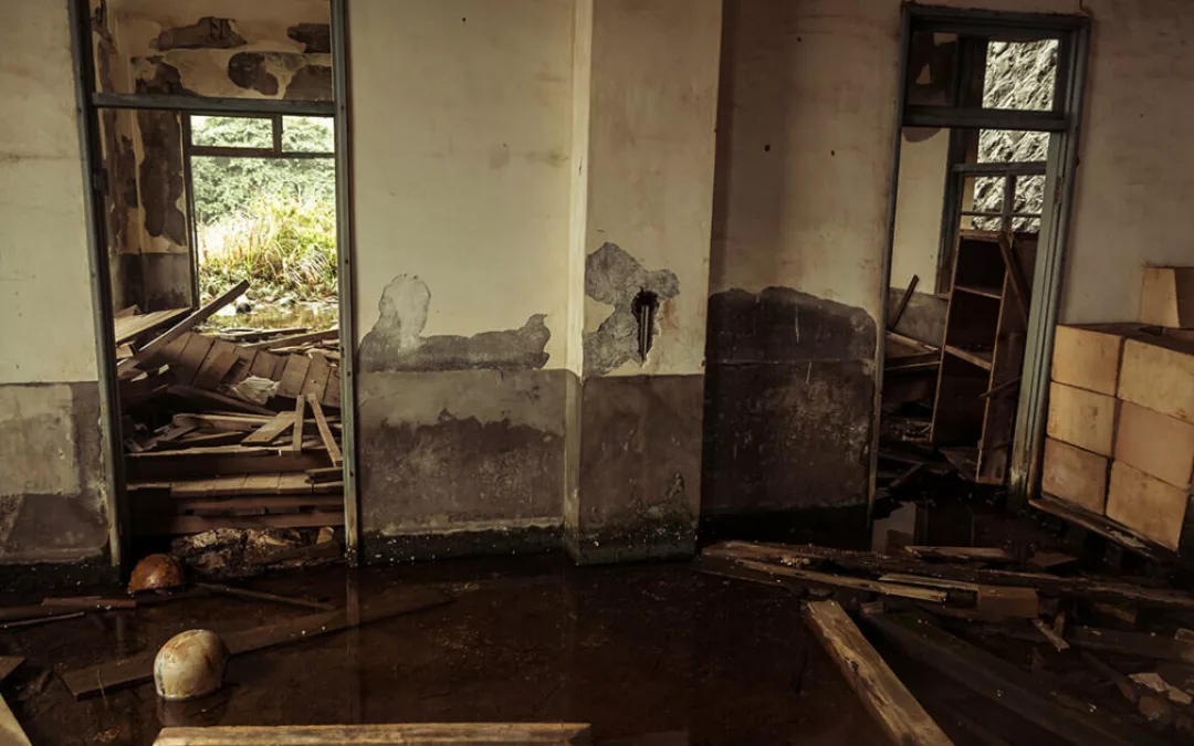 Water Damage Emergencies: What to Do When Disaster Strikes