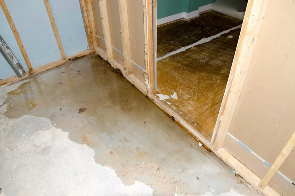 mold growth after a sewage backup