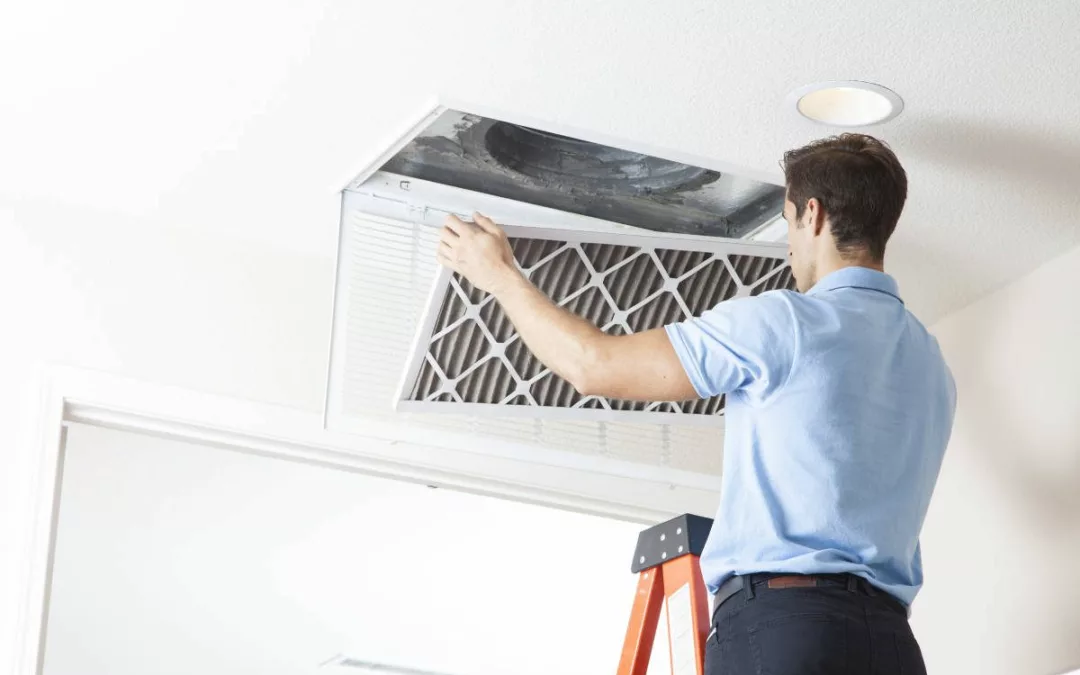 How to Maintain Proper Ventilation for Effective Mold Prevention