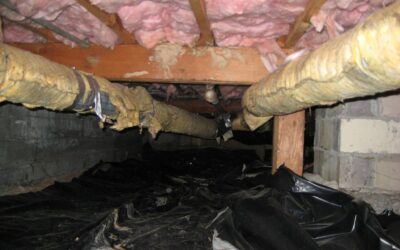 Mold Removal from Attic and Crawlspace: A Comprehensive Guide