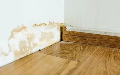 How to Detect Water Damage: A Comprehensive Guide