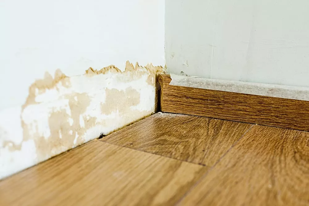 How to Detect Water Damage: A Comprehensive Guide
