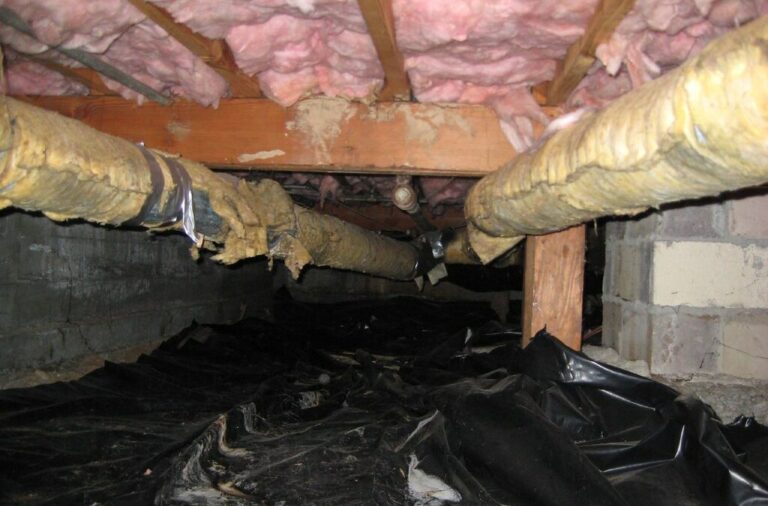 Mold Removal from Attic and Crawlspace