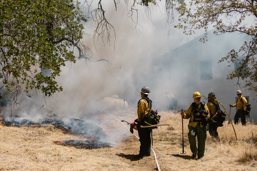 Firefighters in protective gear fighting a grass fire in a forest area with visible smoke.